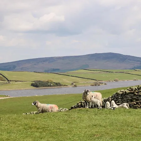 Ermysted's * 스킵턴