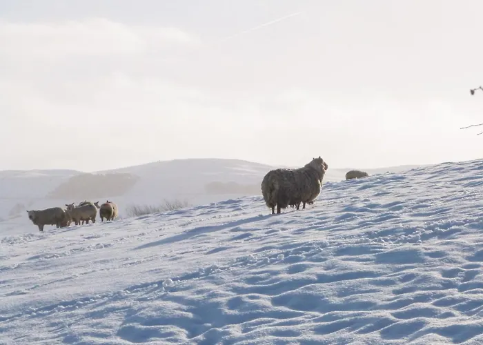 Ermysted's Сasa de vacaciones Skipton